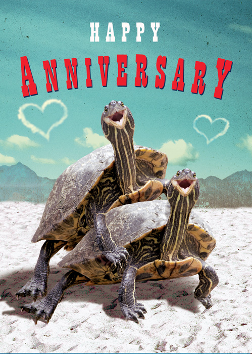 Happy Anniversary Turtles Greeting Card by Max Hernn - Click Image to Close
